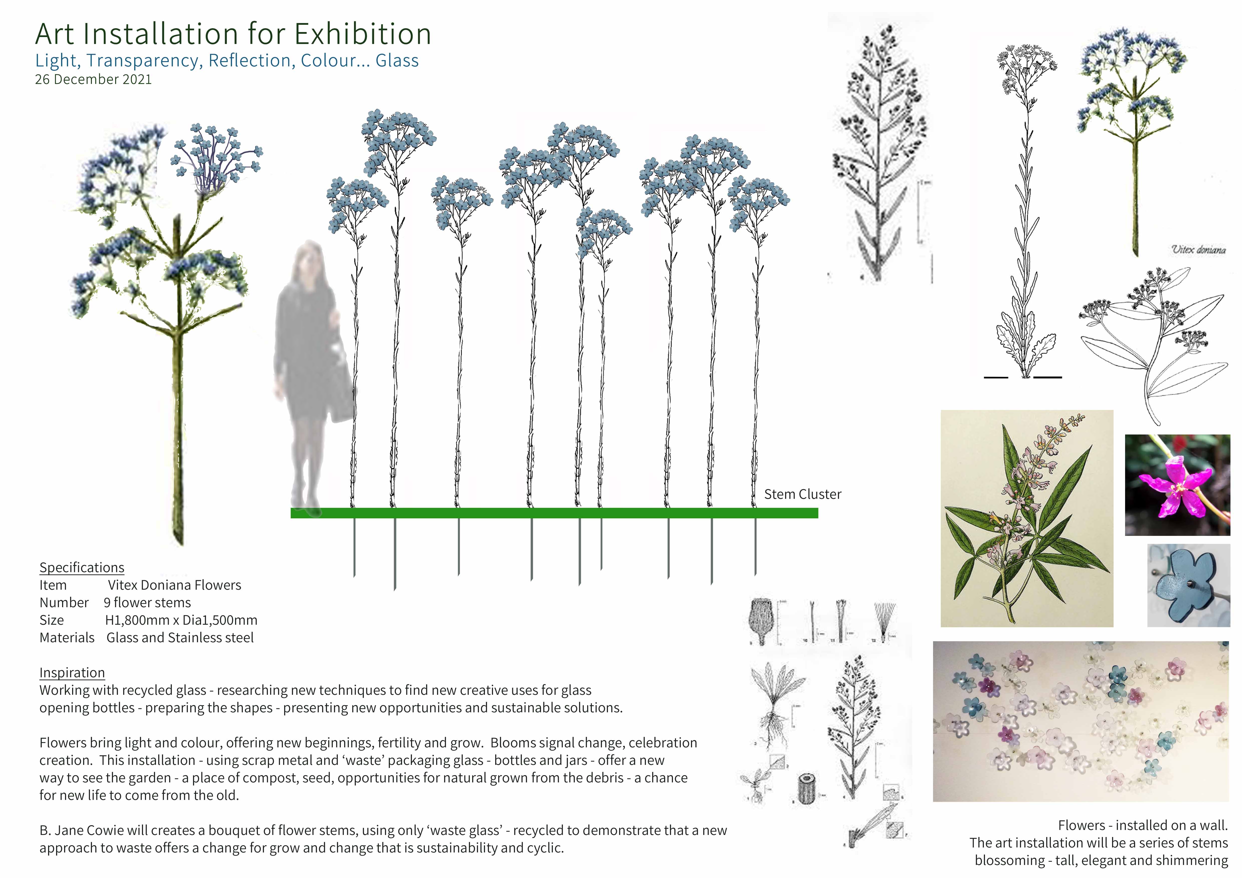 Artists/Images/bjane cowie_image_vitex doniana flowers.jpg